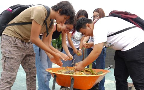 Trabajo. Los estudiantes de Ecotec trabajan en distintos proyectos ambientales durante su etapa universitaria.