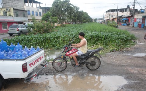 Canales. En la quinta etapa de El Recreo, la zanja está cubierta por lechuguines que no dejan correr el agua.