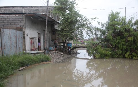 Entre las afectaciones que se observan en la calle 40 está un árbol que se desplomó tras el aguacero.