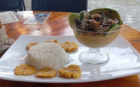 Quienes visiten Playas tienen una cantidad de platos típicos para degustar.