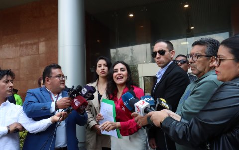 La vicepresidenta Verónica Abad.