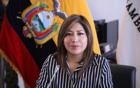 La legisladora Inés Alarcón (ADN) preside la Comisión de Seguridad de la Asamblea, que analiza el proyecto de Ley Orgánica de Protección Digital..