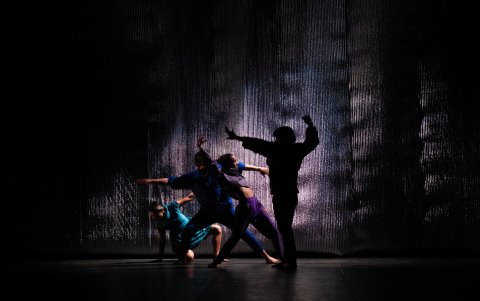 Testigos modestos es interpretada por los bailarines Jimmy Paredes, Julieta Angeletti, Diego Diaz y Majo Armijos.