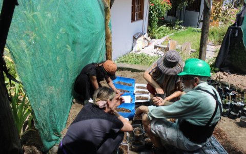 En la zona se levantaron viveros con plantas nativas, con el objetivo de enriquecer la flora que hay en la quebrada que nace en el Ilaló.