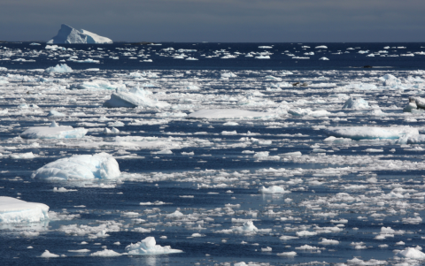 Referencial. Derretimiento de hielo marino.