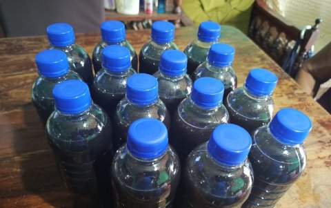 El vino de totuma, los abuelos lo recomendaban para aliviar enfermedades como la gripe.