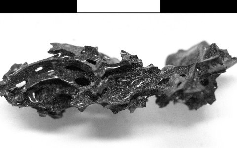 Restos del individuo fallecido 'in situ' en su lecho en el Collegium Augustalium, Parque Arqueológico de Herculano en Nápoles, Italia