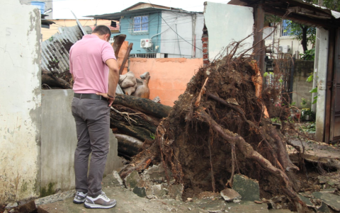 Árbol caído en Guayaquil debido a las fuertes ráfagas de viento durante las intensas lluvias de marzo 2025.
