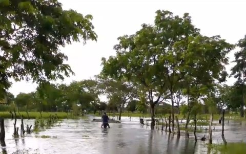 La inundación que hay en el recinto Guarumal en Daule.
