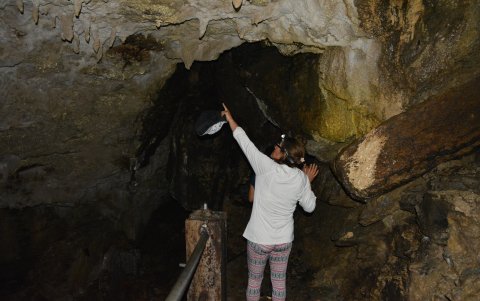 Las cavernas de Guami guardan millones de secretos.