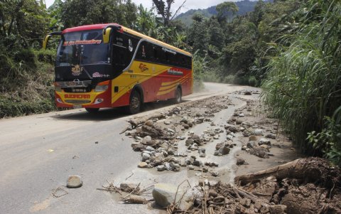 Letreros. Además de los obstáculos que hay en las carreteras, las señaléticas se encuentran ocultas por la vegetación.
