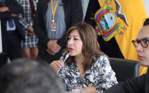 Inés Alarcón preside la mesa de Seguridad de la Asamblea.