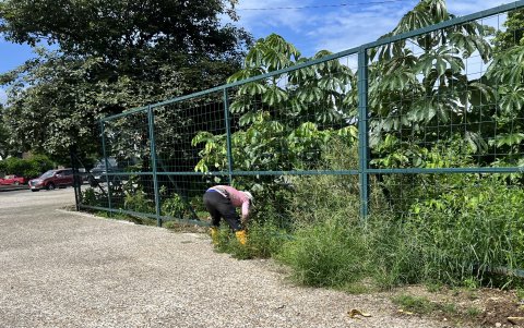 Desbroce. Personal de la Fundación La Iguana comenzó a realizar la poda del monte que ha crecido a los lados de las rejas que protegen al bosque de animales invasores.