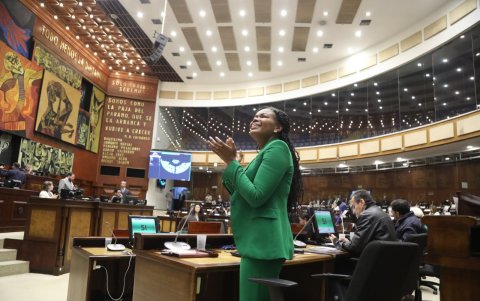 Paola Cabezas y Ricardo Patiño son asambleístas del correísmo.