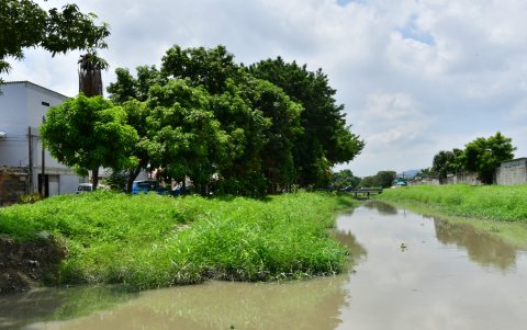 Los guayaquileños solicitan limpiar con urgencia canales de aguas lluvia naturales y zanjas. Los espacios se han convertido en criaderos de mosquitos.