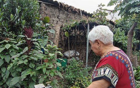 Nydia Vázquez recorre su huerto dando a conocer la variada oferta de plantas medicinales con las que cuenta.