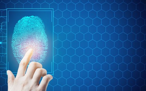 El uso de huellas dactilares infringiría el principio fundamental de privacidad de información.