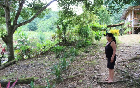 Una de las perjudicadas observa parte de su tierra. Espera ser compensada por el daño provocado a su salud y a la localidad.