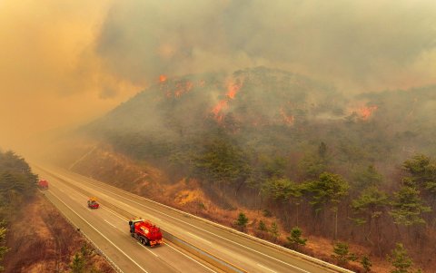 Varios vehículos atraviesan una carretera ladeada por el fuego.