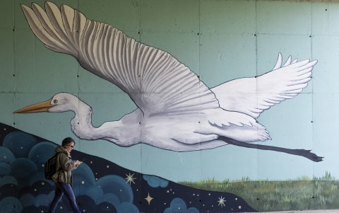 Vista de un mural de la española Diana Rodeiro en la ciudad gallega de Santiago de Compostela