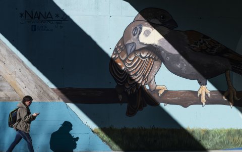 Vista de un mural de Diana Rodeiro en Santiago de Compostela. Galicia.