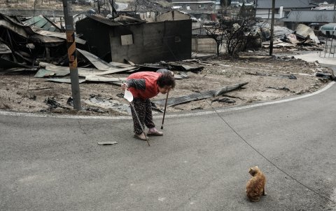 Una agricultora de manzanas de 81 años que perdió su cosecha habla con un gato callejero mientras camina con palos junto a las casas de sus vecinos, quemadas.