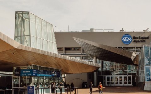 La gente se reúne en la calle frente a un edificio alto después de un terremoto en Bangkok, Tailandia, el 28 de marzo de 2025.