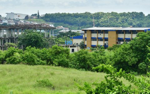La vegetación y maleza es abundante en el tramo elegido.