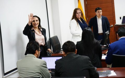 La vicepresidenta Verónica Abad.