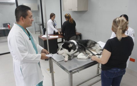 El director de Pro Animal atendió a EXPRESO y explicó las necesidades en la dirección del Municipio