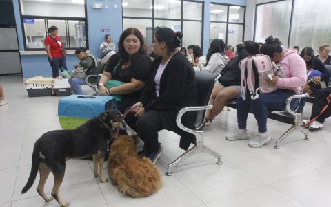 Las personas esperan en una sala con sus animalitos