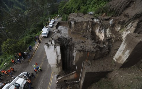 Debido al deslizamiento, un árbol cayó sobre una vivienda.