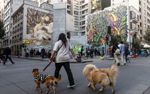 Una persona camina con dos perros por calle Mosqueto, en Santiago de Chile.