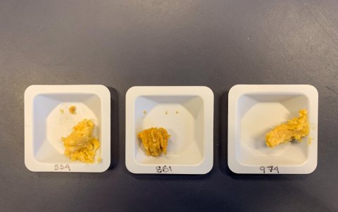 En esta foto, el miso espacial lleva la etiqueta 