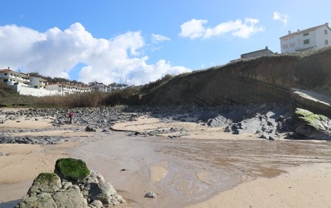 Rste ejemplar, datado en más de 190 millones de años (Jurásico inferior), ha sido denominado Gadusaurus aqualignues y constituye el primer ictiosaurio nombrado en la península ibérica