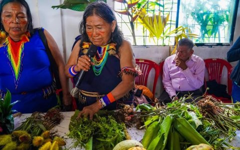 Los sabios shuar hablan sobre el tema de las plantas , otro de los secretos de la selva para curar las enfermedades.