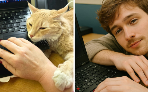 Esta es la foto que se utilizó para imaginar a Latte como humano y además definir su personalidad.