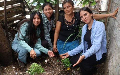 Trabajo. Las estudiantes de la Facultad de Ciencias Naturales trabajan en Puerto Roma huertos urbanos con la comunidad.