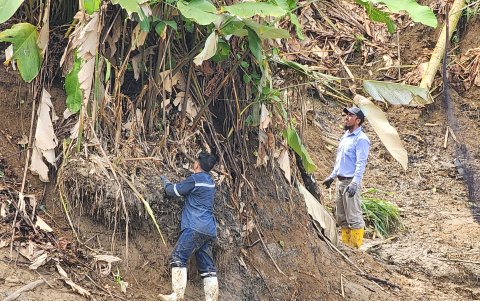 Exploración. Personal de la consultora  explora las orillas del río Caple buscando especies silvestres.