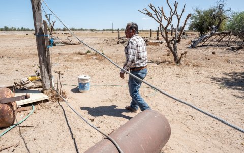 Cayetano Cisneros Valenzuela, de 72 años, un ganadero del Valle de Mexicali, camina en su rancho en el delta del río Colorado, estado de Baja California, México, el 4 de abril de 2025.