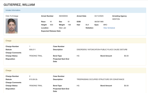 Parte policial de William Levy.