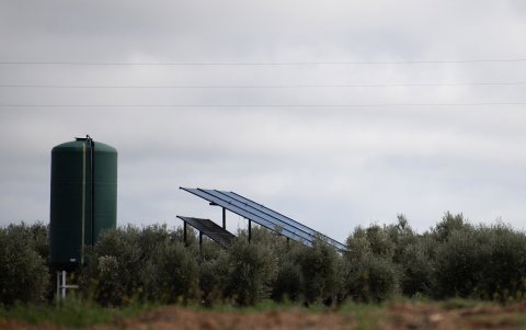 Un panel solar se muestra cerca de olivos, en medio de un proyecto de instalación de plantas fotovoltaicas en Lopera, cerca de Jaén.