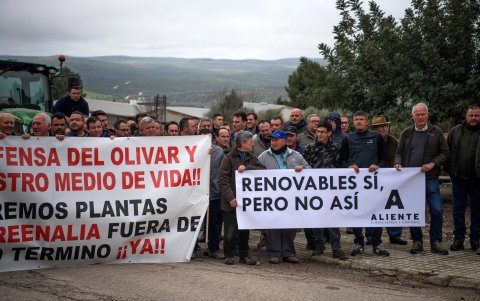 Propietarios de olivos se manifiestan para salvar sus olivos y contra la expropiación en el marco de un proyecto de instalación de plantas fotovoltaicas en Lopera