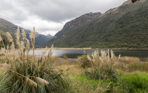 Vista panorámica del Parque Nacional Cajas, Ecuador: un paisaje impresionante de montañas y lagunas en el corazón de los Andes.