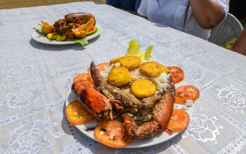 Este delicioso platillo se ofrecerá entre este viernes 18 y sábado 19 de abril de 2025 a los turistas que lleguen a la zona.