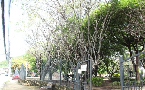 La comunidad espera un arreglo.