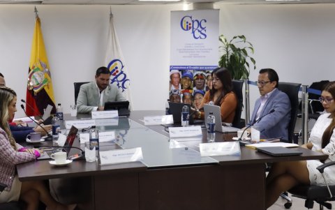 También hay planteamientos para la eliminación del Consejo de Participación Ciudadana (CPCCS).