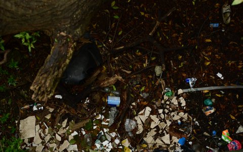 La contaminación también es por basura que las personas arrojan a los ramales.