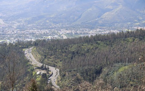 Afectación. Hay zonas donde aun es visible las afectaciones por incendios forestales.