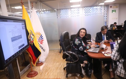 La correísta Gissela Garzón presidió la mesa ocasional.